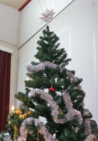 photo 056002 . the christmas tree . 2006-12-06