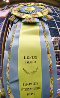 kuva 095351 . Eurooppa Premior -ruusuke . 18.5.2008