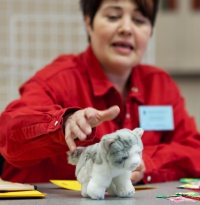 photo 191017 . the toy cat contest . 2012-03-17