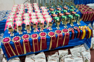 photo 209066 . the prize table . 2013-06-08