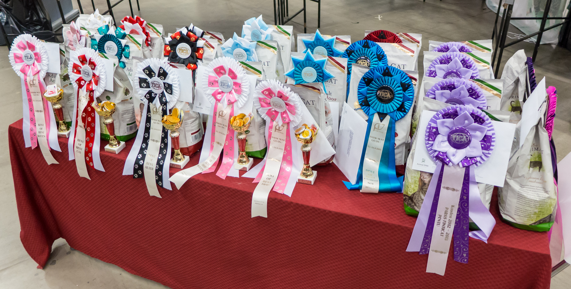 the prize table, photo 215176, 2013-11-24
